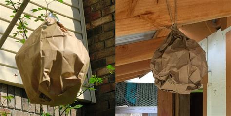 make your own fake wasp nest plastic bag|artificial wasp nests scam.